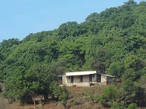 Nature tripping in Bhimashankar Wildlife Sanctuary, Western Ghats, Maharashtra