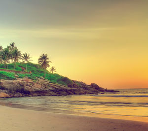 4 reasons for you to make a dash to Kerala instead of Goa for a short and fulfilling beach vacay