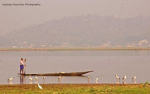 Deepor Beel: A bird lover's paradise