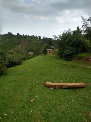 Chasing the Monsoons - Stories from Meghalaya