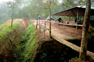 Thekkady - camp in the wild and jungle safari on foot !