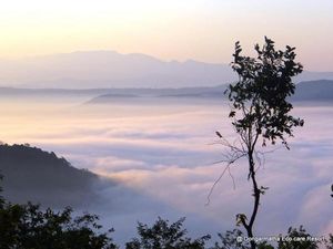 Dongarmatha – the eco care resort.