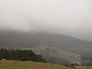 Not just honeymooner’s paradise – Ooty, an enjoyable destination for all