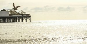 Brighton Pier 1/2 by Tripoto