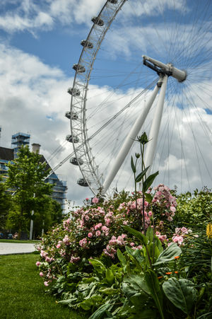 2 weeks in the kingdom of four nations- United Kingdom