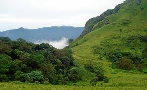 An In-House Chef, A Butler And Much More When You Stay In These Heritage Bungalows In Coorg