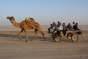 Dinosaurs, White Deserts And Ancient Towns Make Gujarat The Perfect Winter Vacation Spot For Kids