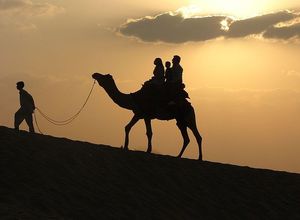 This Music Fest Happening In The Middle Of The Desert Is Giving Us Major #FestivalGoals