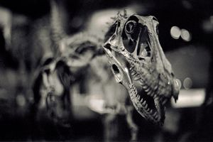 Melbourne Museum 1/1 by Tripoto