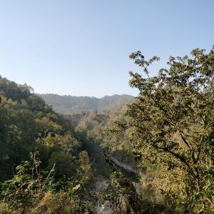 Kalagarh Tiger Reserve 1/4 by Tripoto