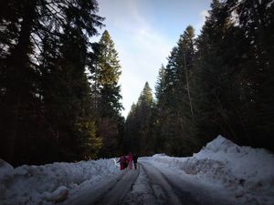 Serbia Diaries Final Part: Not Touristy But Unquestionably A Traveller’s Dream