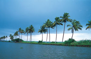 Some of the amazing places in Kerala