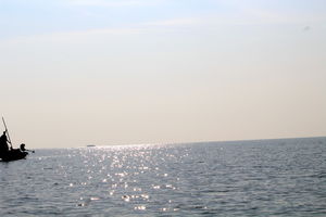 A day trip to Nalabana, the heart of the beautiful Chilika.