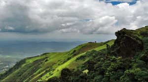 Road Trip to the City of Coffee - Chikmagalur