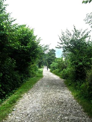 Devi Pindian Trek - Photoblog