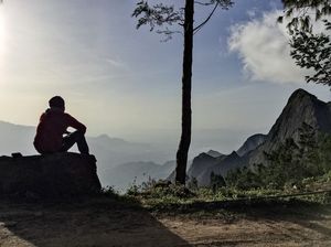 Kolukkumalai - Home to the World's highest organic tea plantations - A Solo Trek.