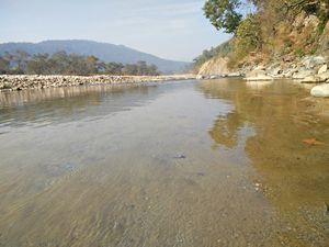 Corbett – In the tiger's backyard