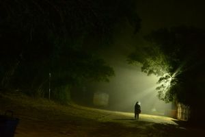 A Series of Very Fortunate Events: Our Unforgettable Trip to Coorg