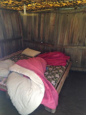 Solo trip to Kheerganga (Parvati Valley)
