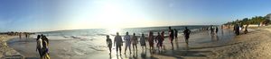 Kerala- Discovering the magical Waterworld.