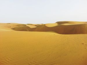 DESERT NIGHTS in INDIA!