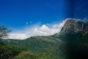 Anamalai Tiger Reserve 1/undefined by Tripoto