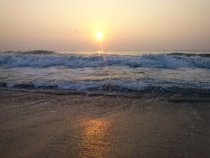 Cherry in the South- Pondicherry