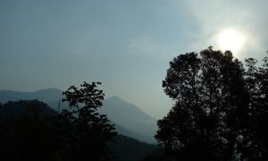 Adrenaline kick: Kerala (Munnar: Thekkady: Alleppey)