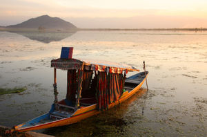 Vacationing in Paradise: Srinagar and Beyond