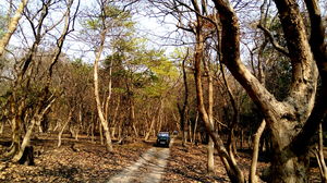 Crushing On Nature in Pabitora Wildlife Sanctuary, Assam