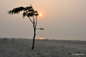 Bakkhali, oneness of river, sand and sea under the crimson sun