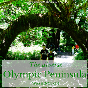 The Diverse Olympic Peninsula, Washington