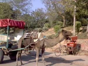 City Breaks: To Taj Mahal and Agra Fort