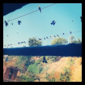 'Camping under the Stars' - Bhandardara
