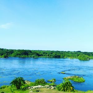The Gem Uganda.