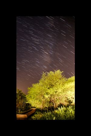 Stars in motion | TIMELAPSE |