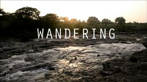 Wandering - Traveling Aimlessly