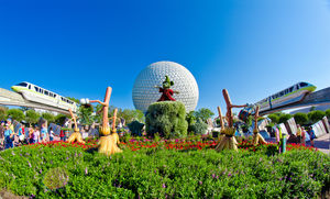 How To Do Disneyland Like A Disney Pro!