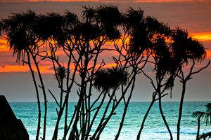 Bentota, Straight Out Of Fairy-Tale Beach Town