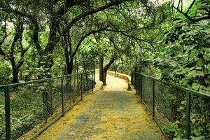 Deer Park - Stately Tryst With Nature And History