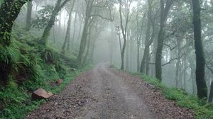 PANGOT: Hidden Gem of Nainital