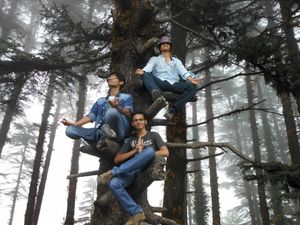 Uttarakhand: An Adventurer's Dream
