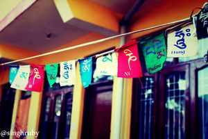 Planning to go to Mcleodganj? Here is all you need to know!