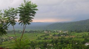 Nature at its best in Kotabagh
