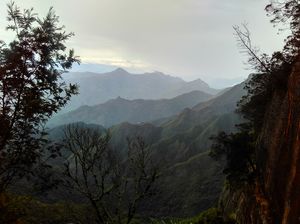 Kodai- The Gift of the Forest