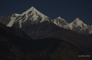 Himalayas: First Blood (Binsar/Munsiyari/Kausani)