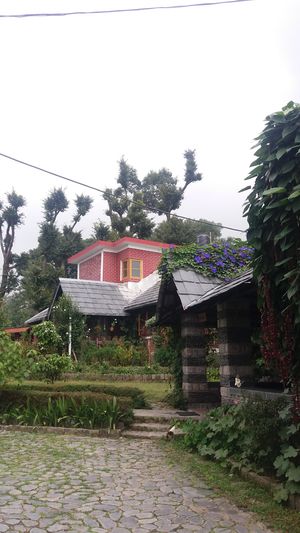 Dialogue in Dharamshala