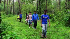 A Parambikulam safari