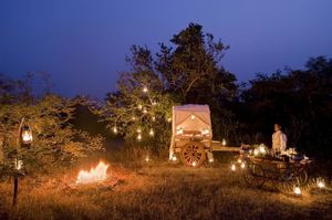 This Secret Luxury Wildlife Lodge Set In A Forest Is Ideal For Couples Seeking Comfort And Serenity