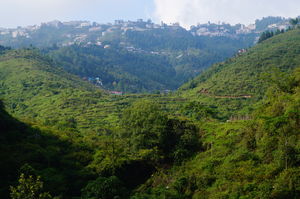 Mussoorie Diaries